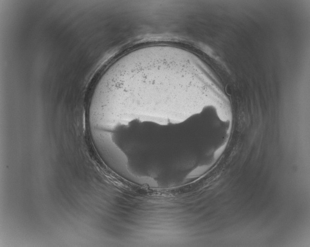 X0000062141221200512301519