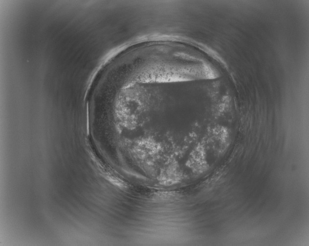 X0000062141223200512301519