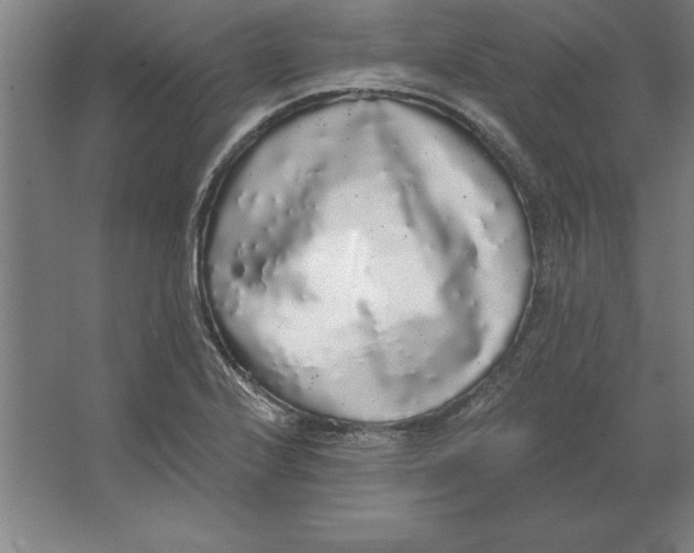 X0000062141224200512301519