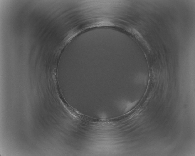 X0000062141225200512301519