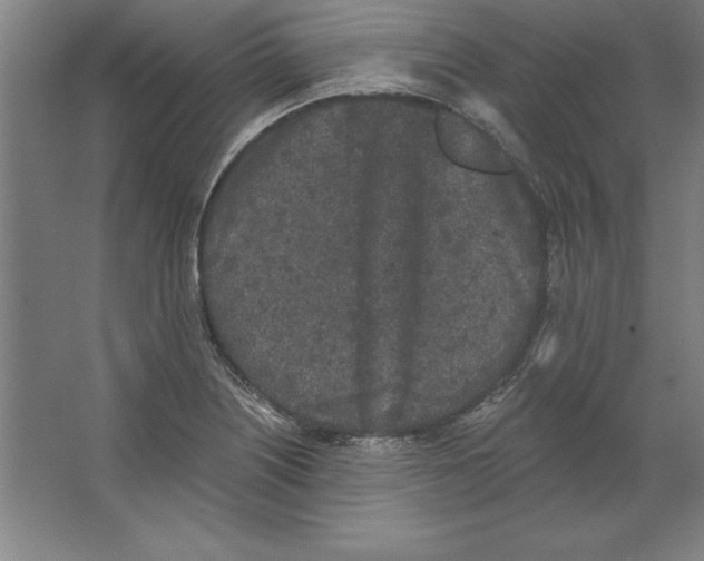 X0000062141226200512301519