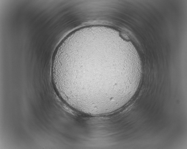 X0000062141228200512301519