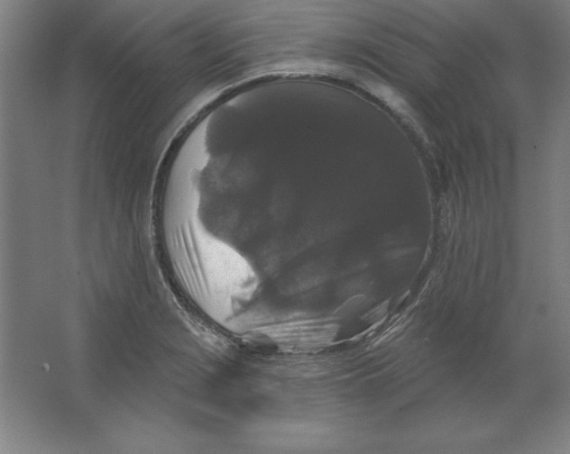 X0000062141229200512301519