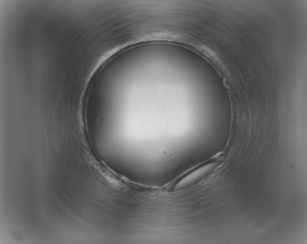 X0000062141230200512301519