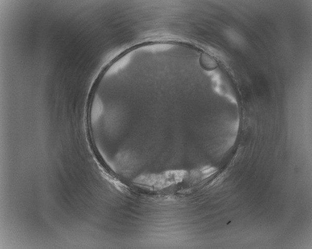 X0000062141231200512301519