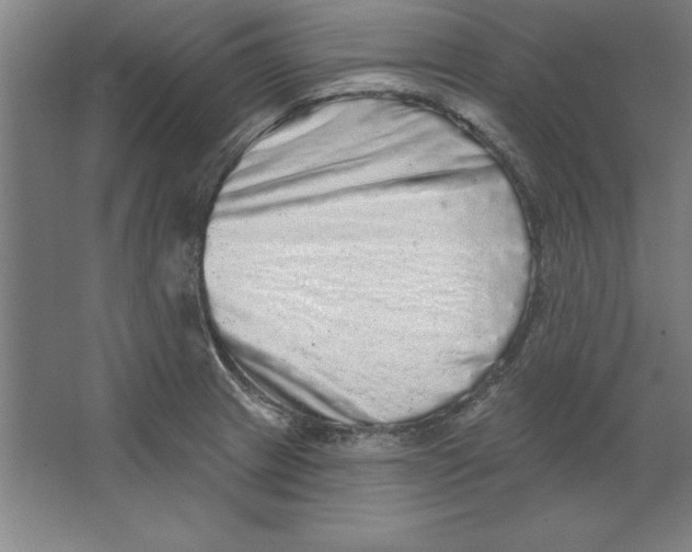 X0000062141233200512301519