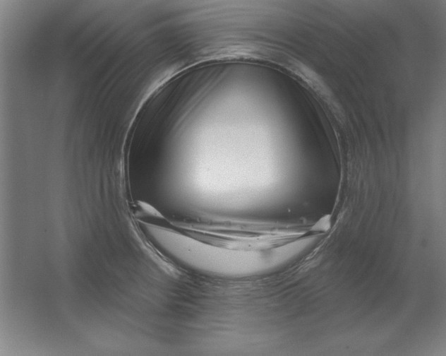 X0000062141234200512301519