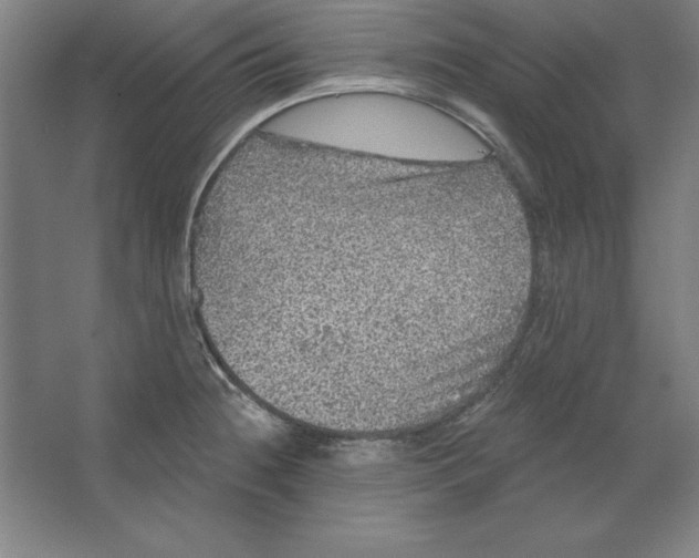 X0000062141236200512301519