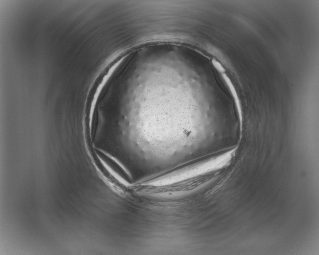 X0000062141237200512301519