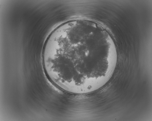 X0000062141239200512301519