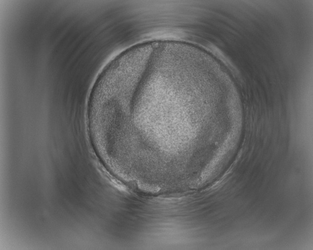 X0000062141240200512301519