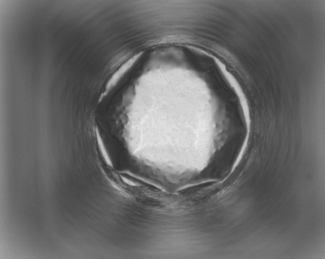 X0000062141241200512301519