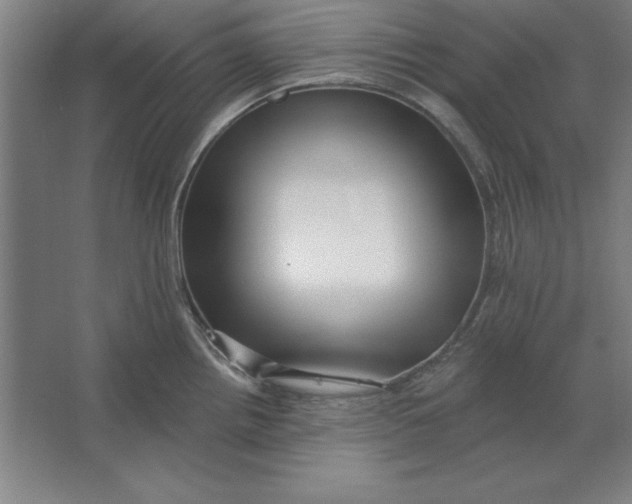 X0000062141242200512301519