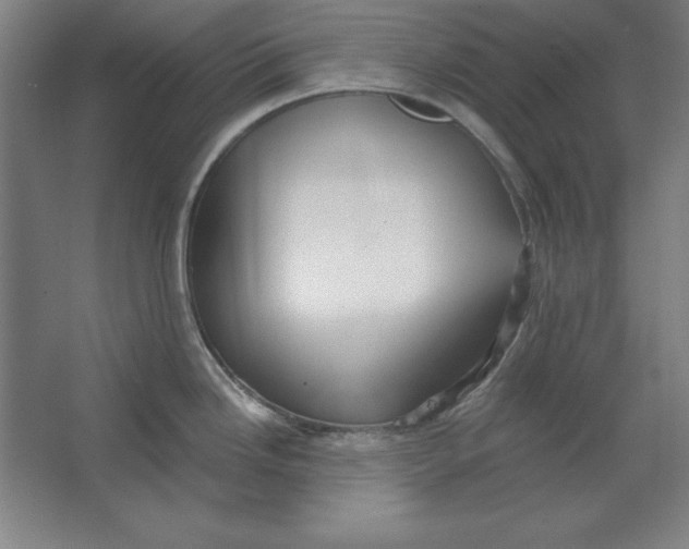 X0000062141246200512301519