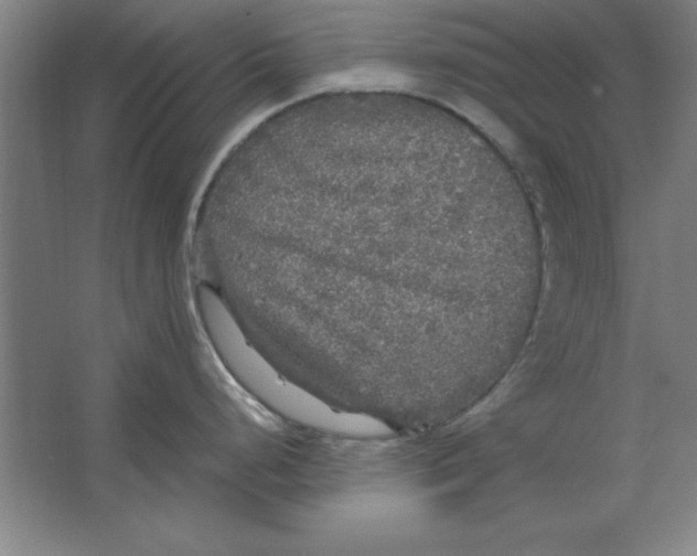 X0000062141248200512301519