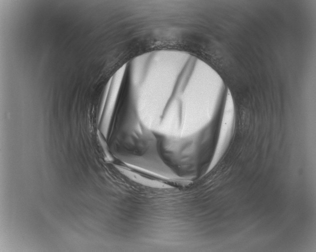 X0000062141250200512301518