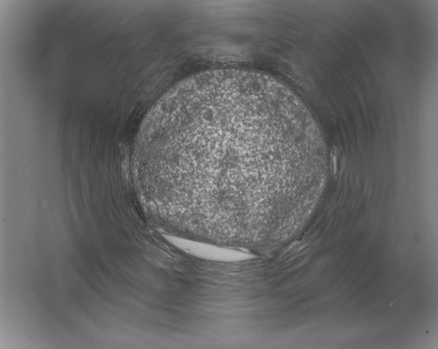 X0000062141251200512301518