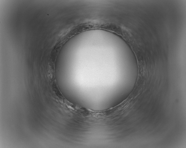 X0000062141253200512301518