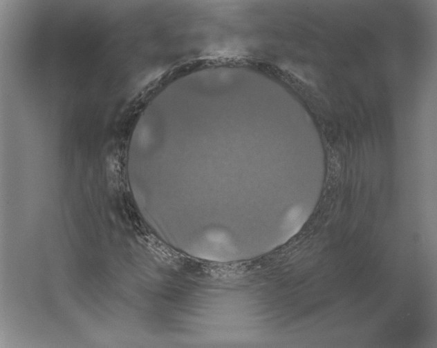 X0000062141254200512301518