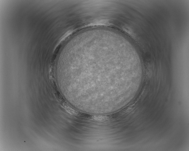 X0000062141258200512301518