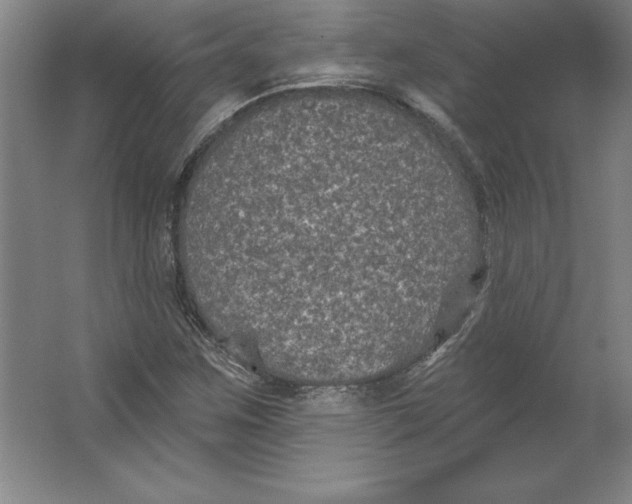 X0000062141259200512301518