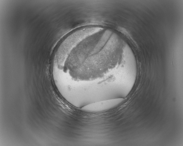 X0000062141260200512301518