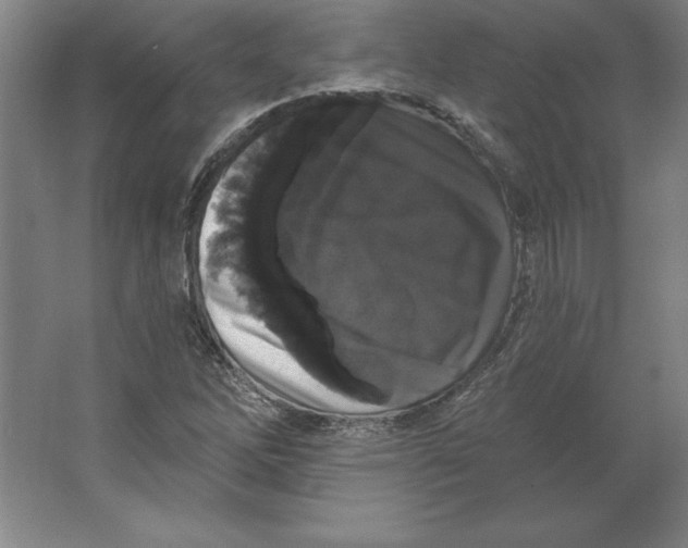 X0000062141262200512301518