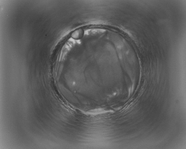 X0000062141263200512301518