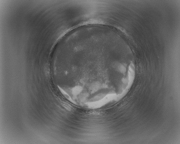 X0000062141266200512301518