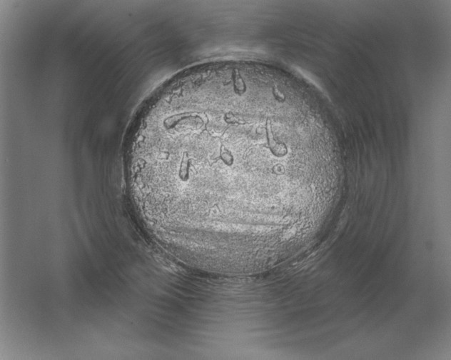 X0000062141267200512301518