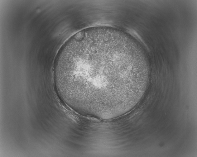 X0000062141268200512301518