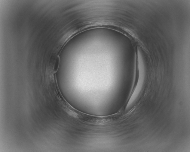 X0000062141273200512301518