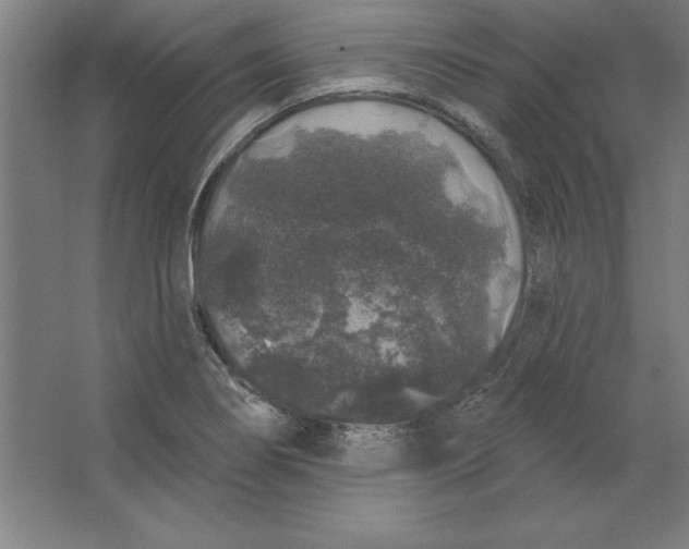 X0000062141274200512301518