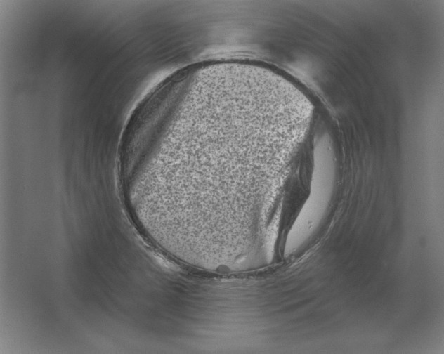 X0000062141277200512301518