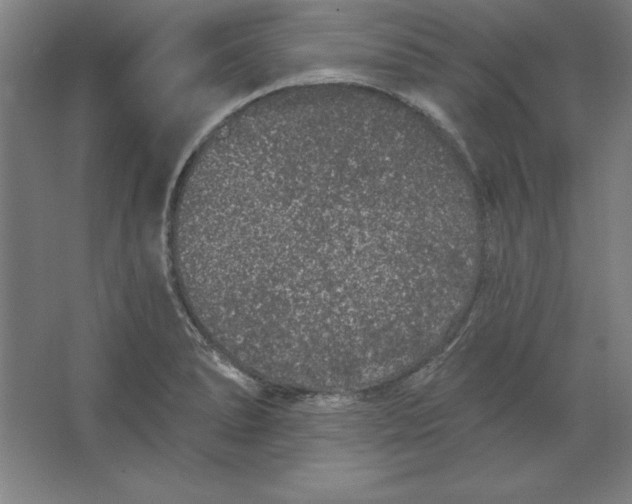 X0000062141278200512301518