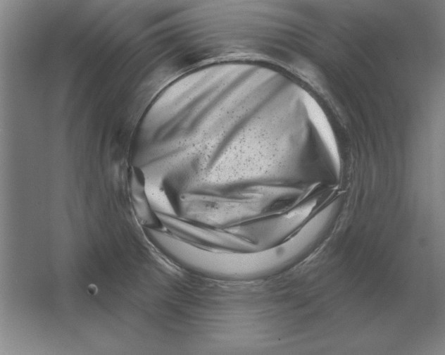 X0000062141281200512301518