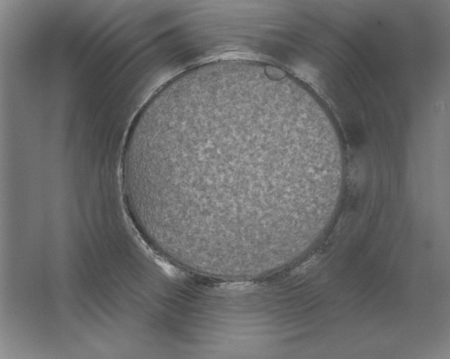 X0000062141282200512301518