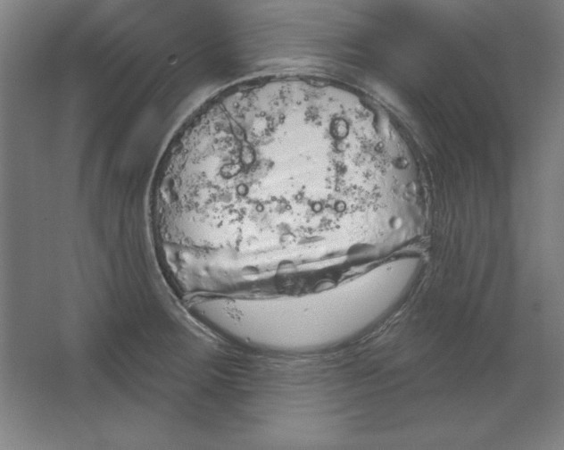 X0000062141283200512301518