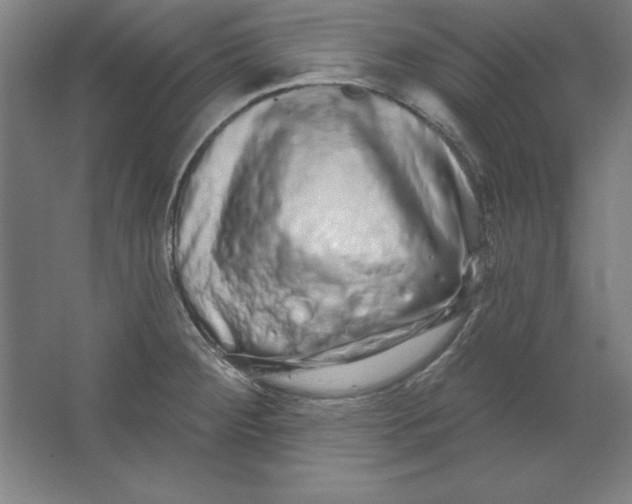 X0000062141284200512301518