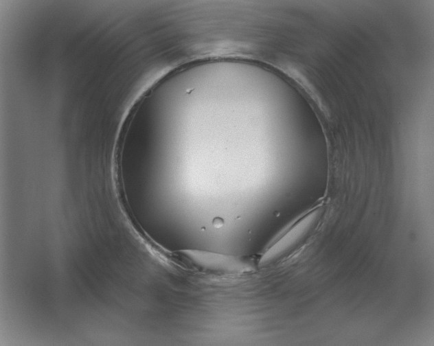 X0000062141285200512301518