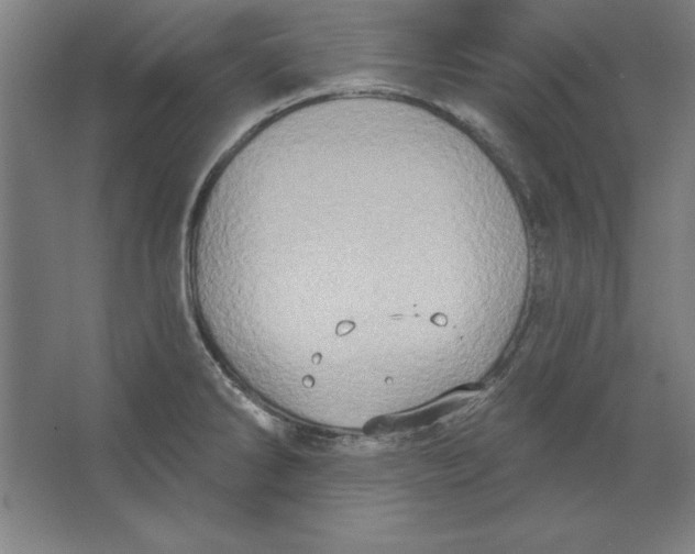 X0000062141286200512301518