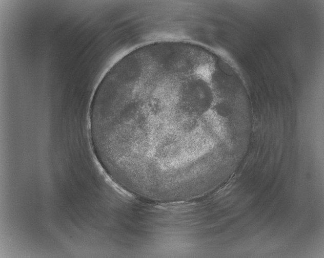 X0000062141287200512301518