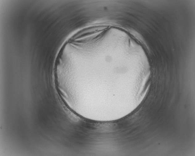 X0000062141288200512301518