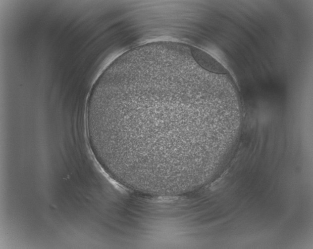 X0000062141290200512301517