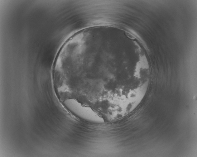 X0000062141291200512301517