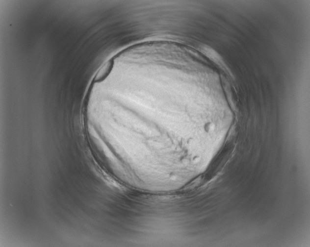 X0000062141292200512301517