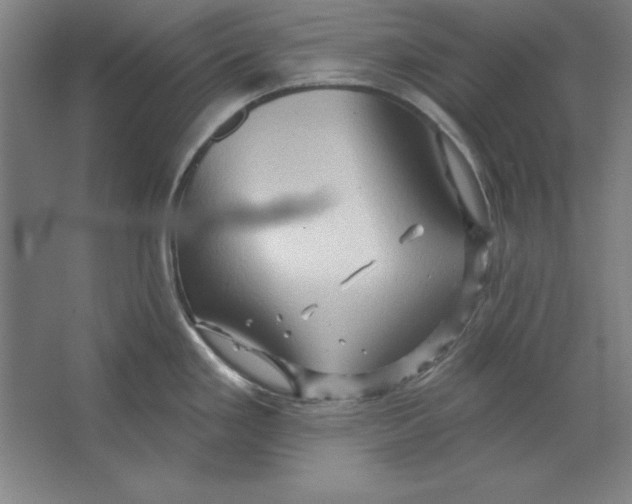 X0000062141293200512301517