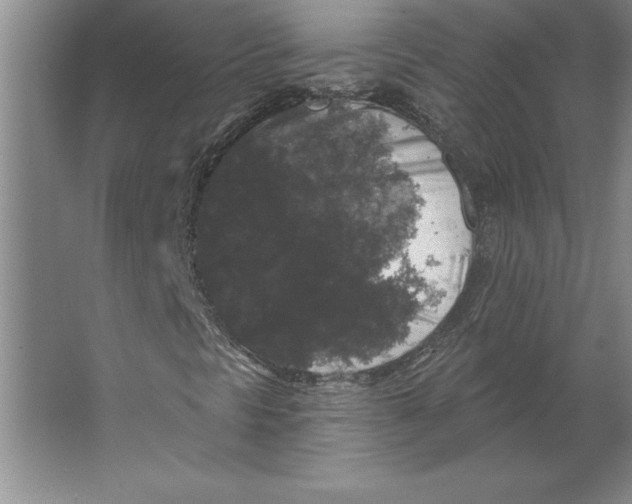 X0000062141297200512301517