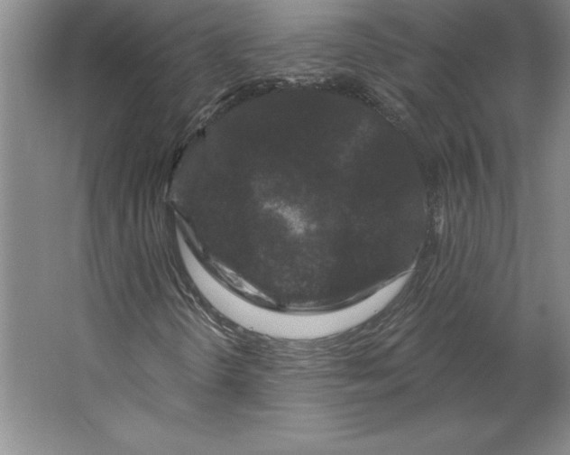 X0000062141298200512301517