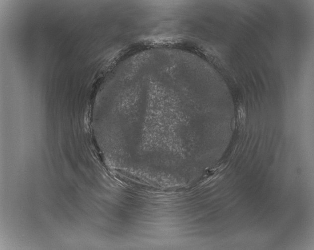 X0000062141300200512301517